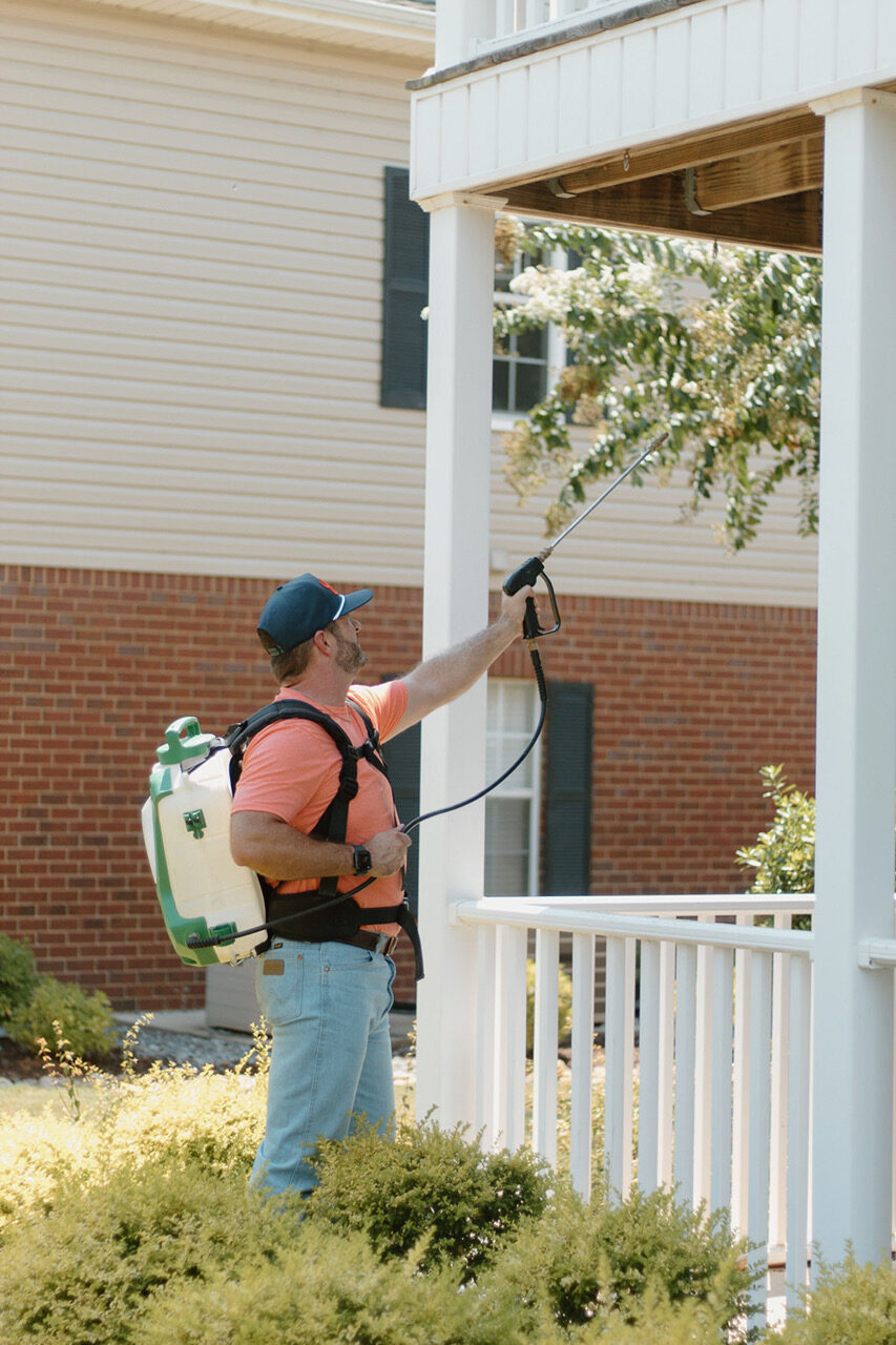 Effective Wasp Control in Bossier City, LA: Safeguard Your Home from Nests