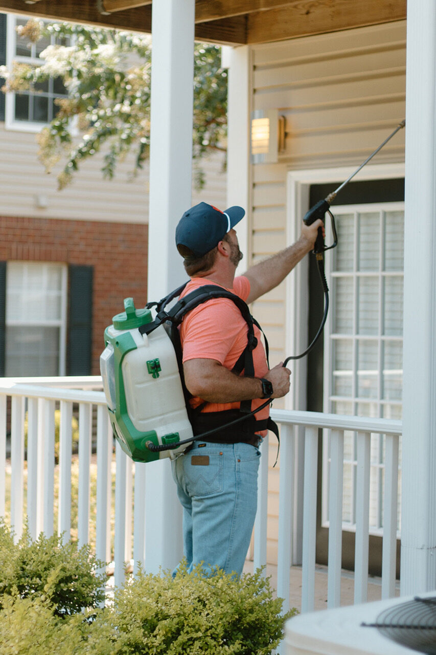 Rodent control service