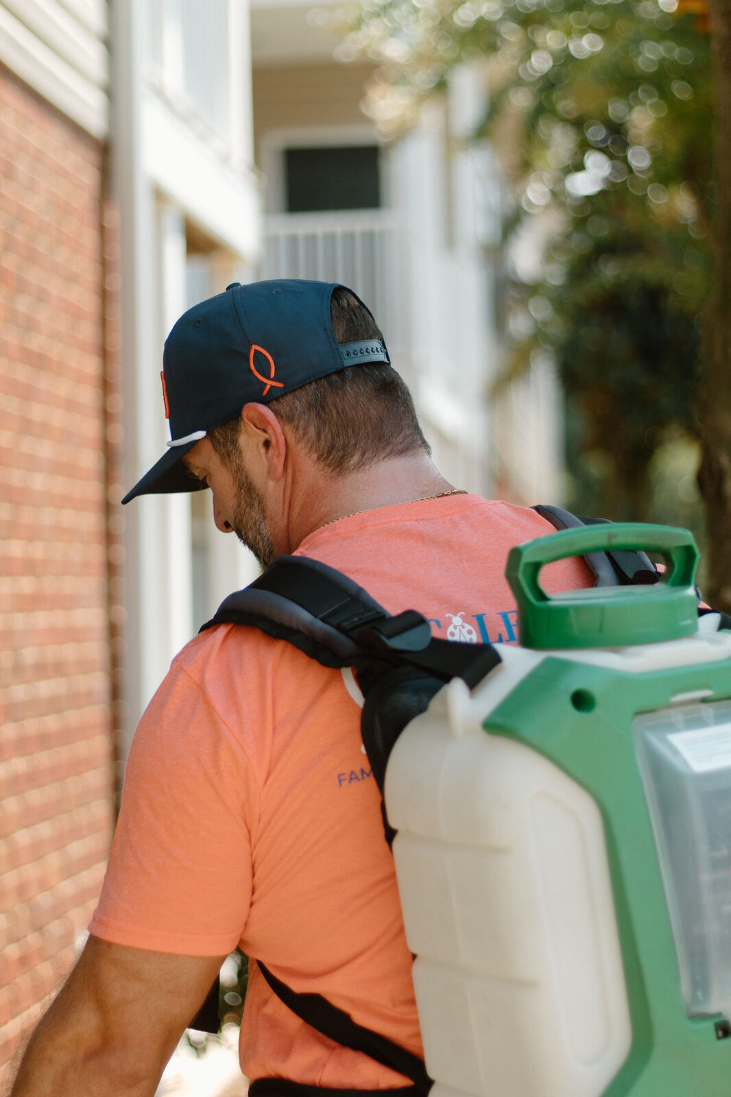 One-time pest treatment